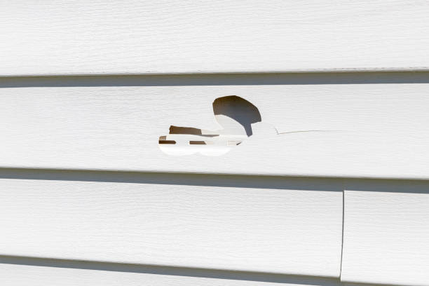 Custom Trim and Detailing for Siding in Appomattox, VA
